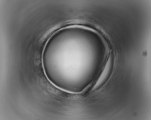 X0000113581213200910021644