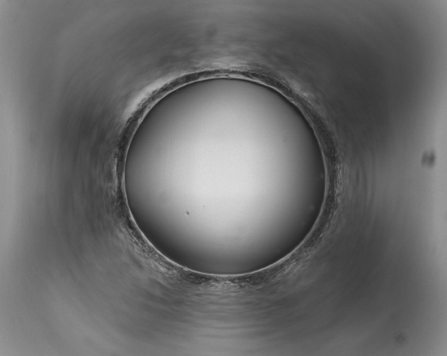 X0000113581214200910021644