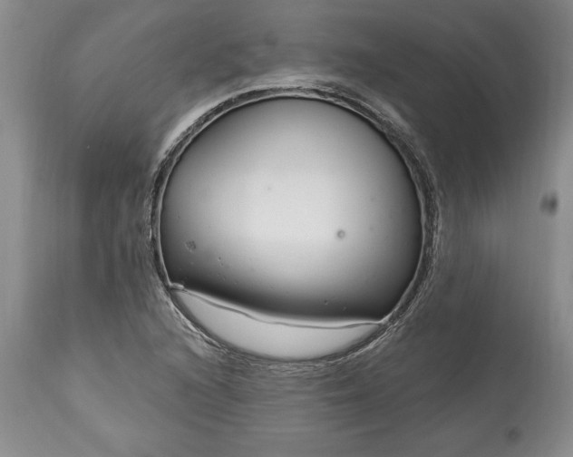 X0000113581216200910021644