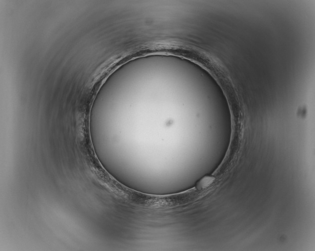 X0000113581217200910021644