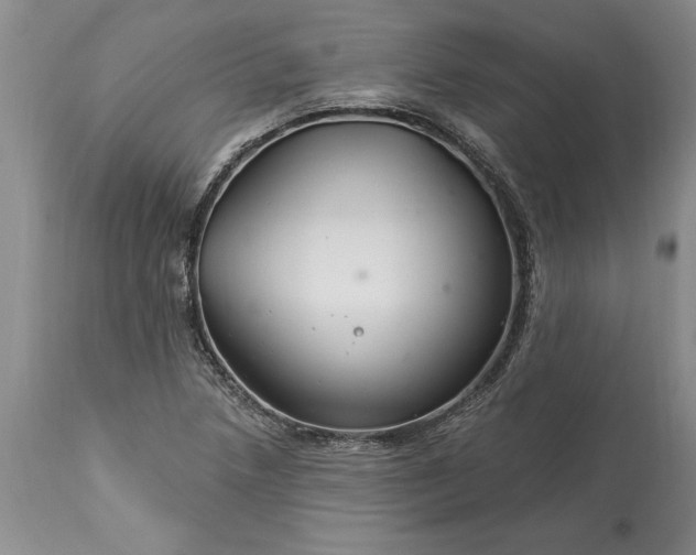 X0000113581218200910021644