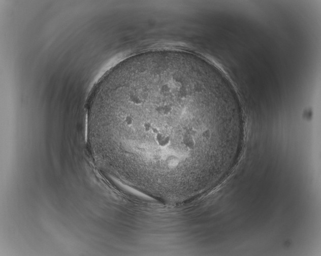 X0000113581219200910021644