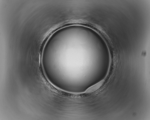 X0000113581221200910021644