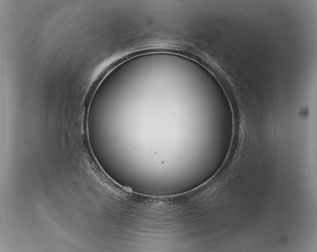 X0000113581222200910021644