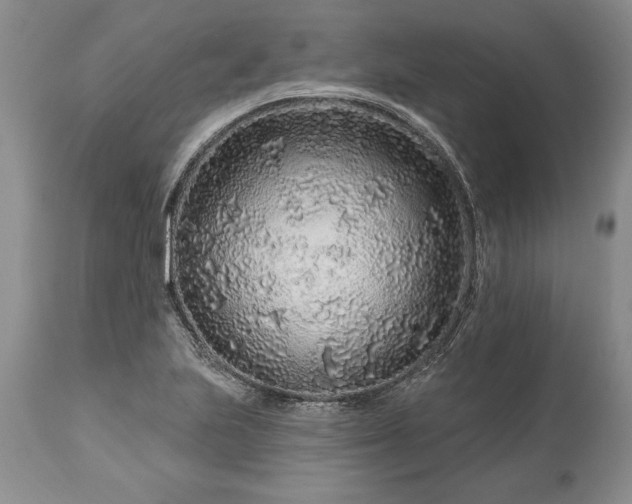 X0000113581223200910021644