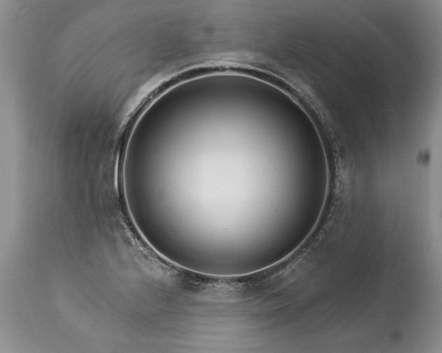 X0000113581224200910021644