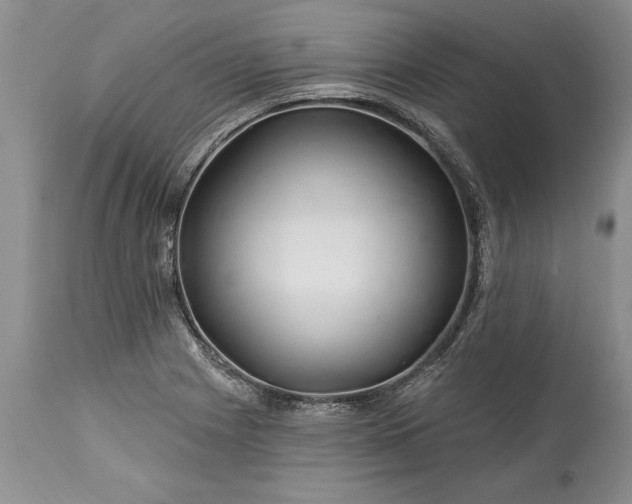 X0000113581225200910021644