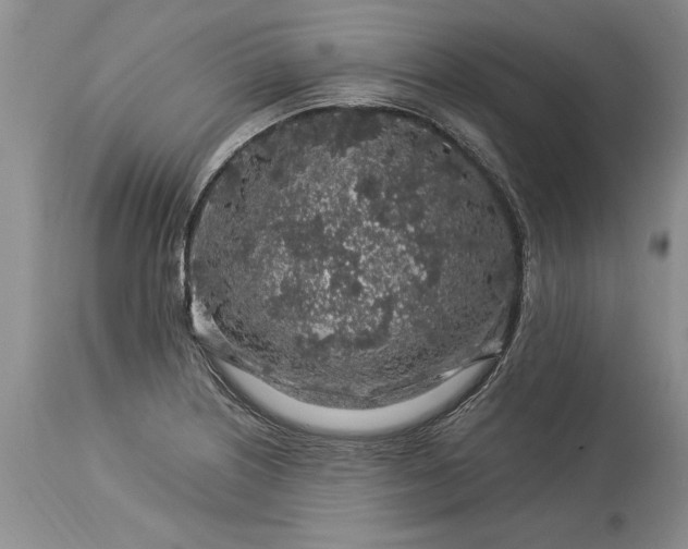 X0000113581226200910021644