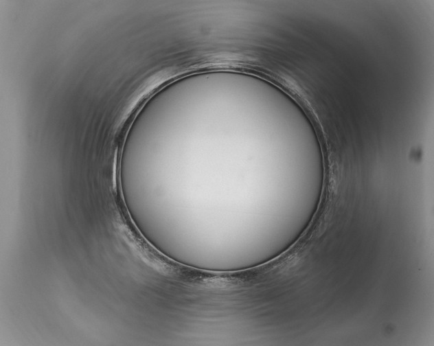 X0000113581227200910021645