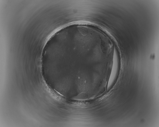 X0000113581229200910021645