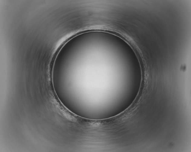 X0000113581230200910021645