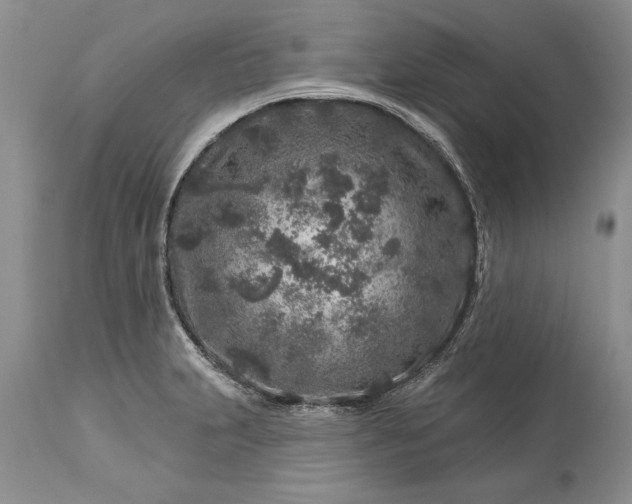 X0000113581231200910021645