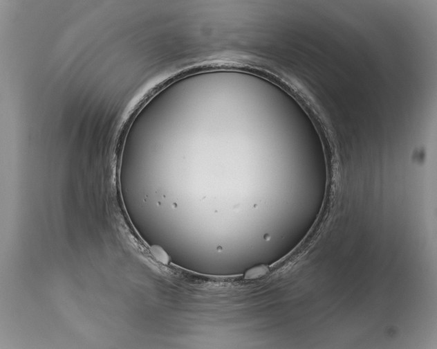 X0000113581232200910021645