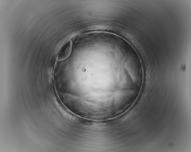 X0000113581233200910021645