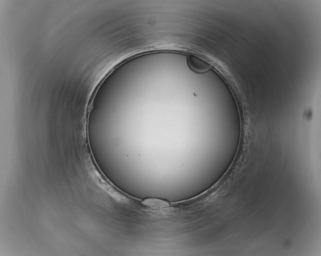 X0000113581236200910021645