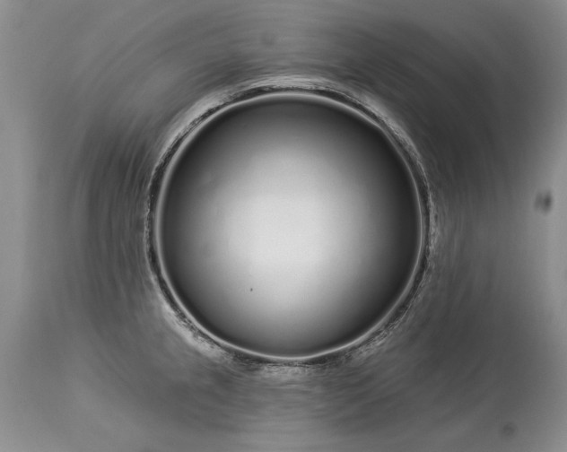 X0000113581237200910021645