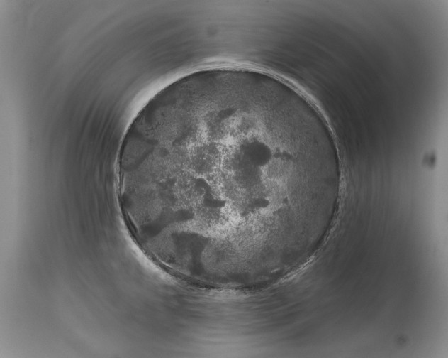 X0000113581239200910021645