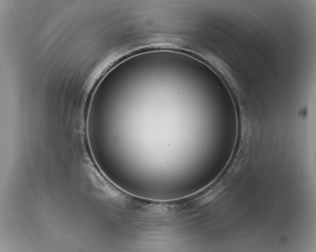 X0000113581240200910021645