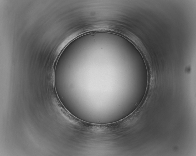 X0000113581242200910021645