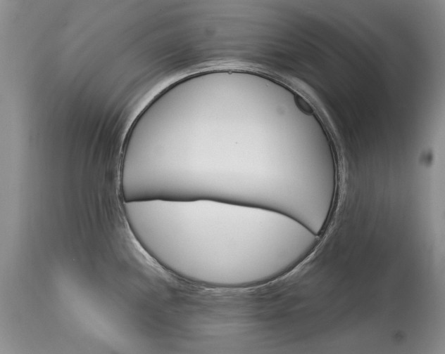 X0000113581244200910021645