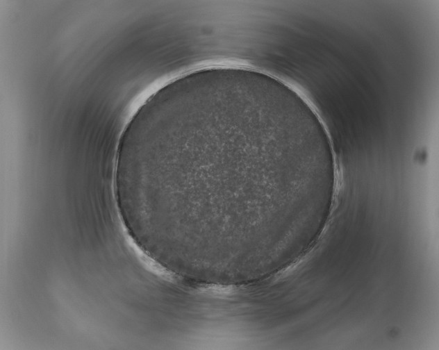 X0000113581245200910021645