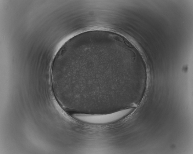 X0000113581246200910021645