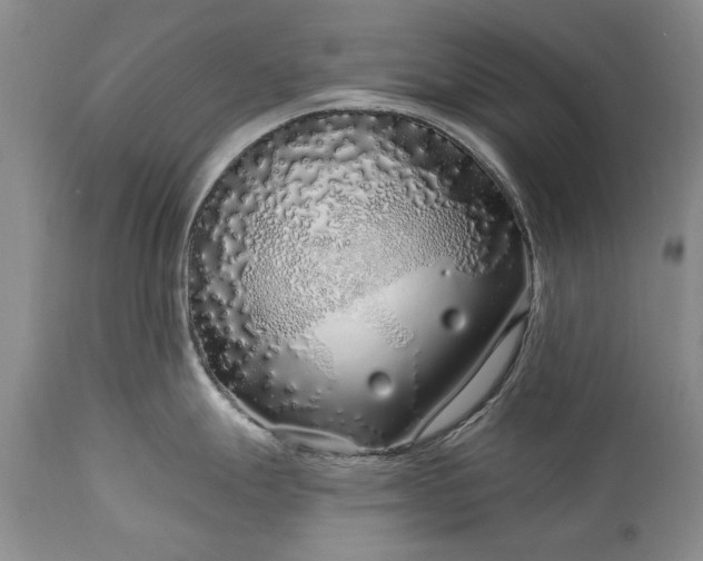 X0000113581247200910021645