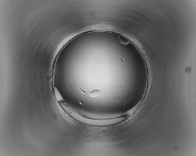 X0000113581248200910021645