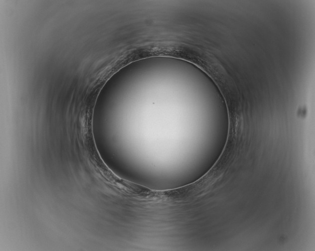 X0000113581250200910021644