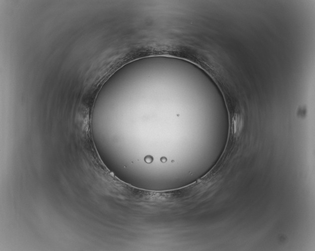 X0000113581251200910021644