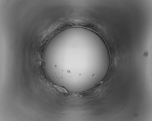 X0000113581253200910021644