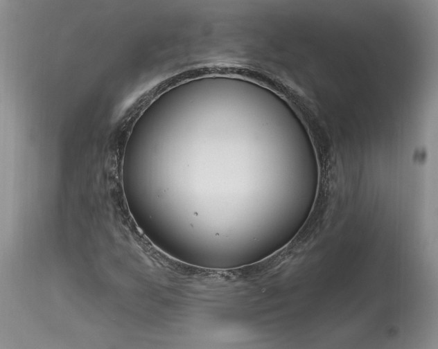 X0000113581255200910021644