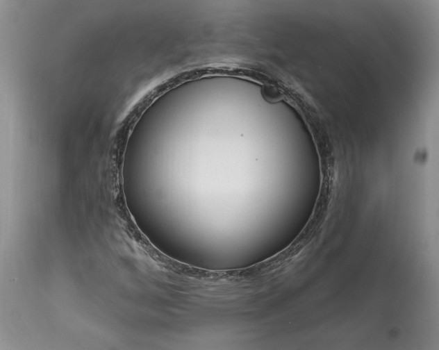 X0000113581256200910021644