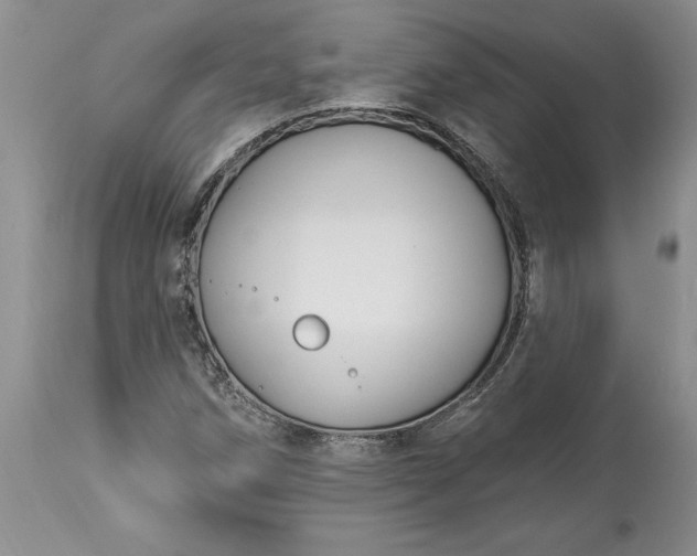 X0000113581258200910021644