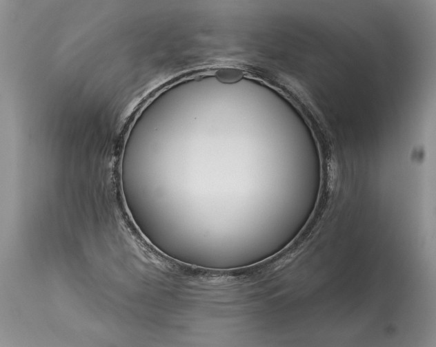 X0000113581260200910021644