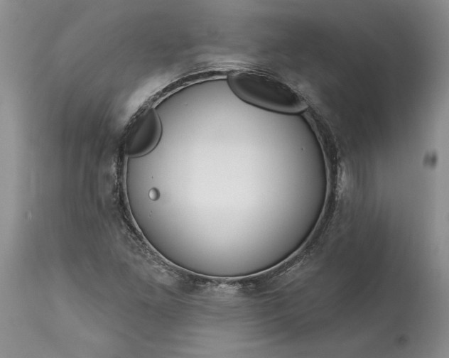 X0000113581261200910021644