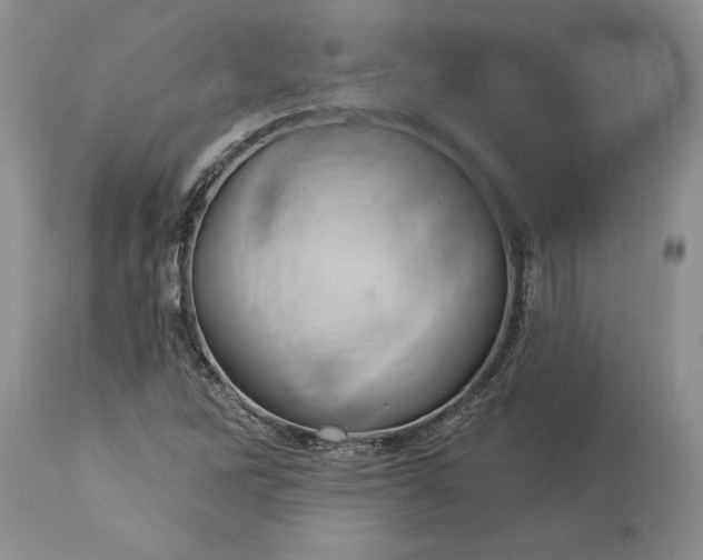 X0000113581262200910021644