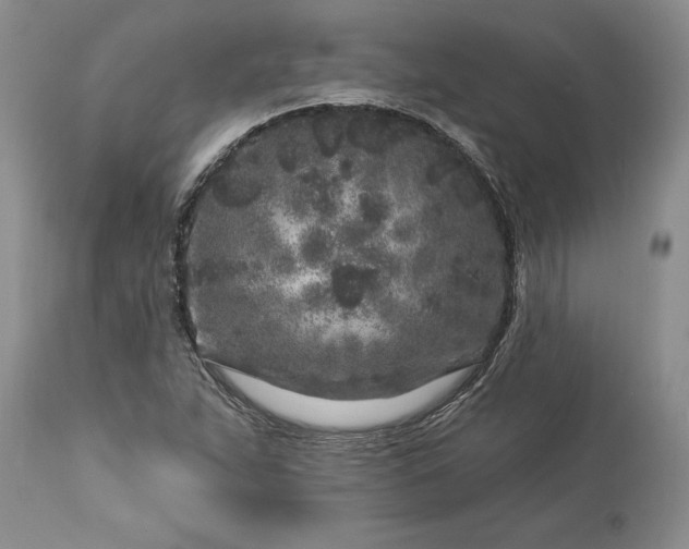 X0000113581263200910021644