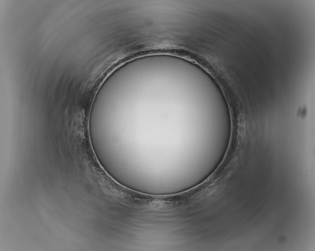 X0000113581265200910021644