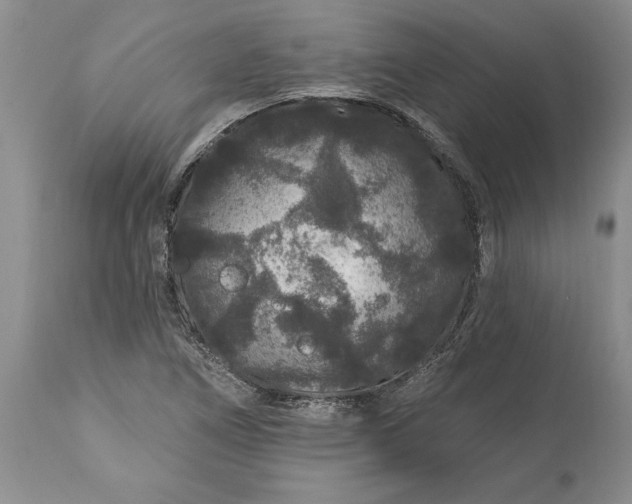 X0000113581266200910021644