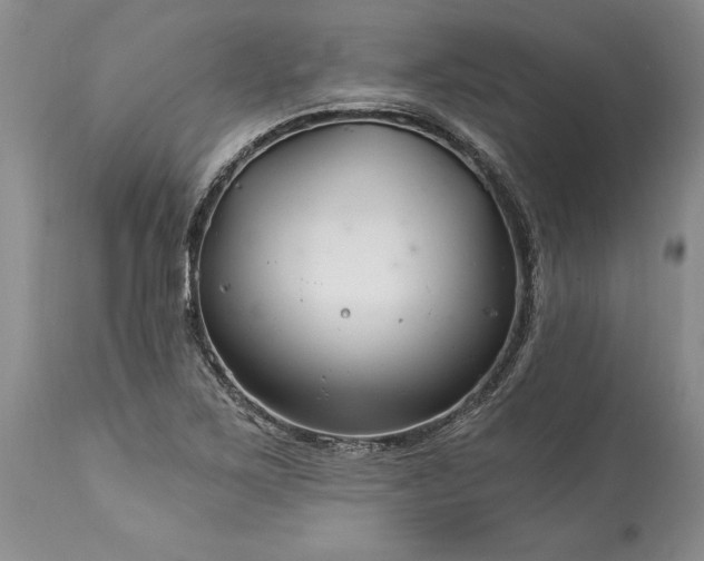 X0000113581267200910021644