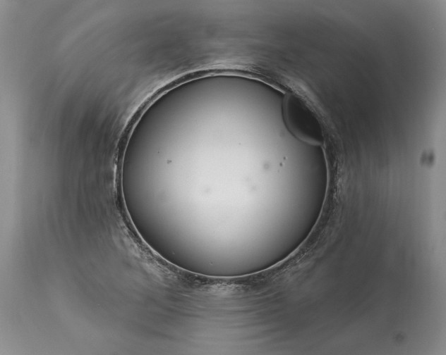 X0000113581268200910021644