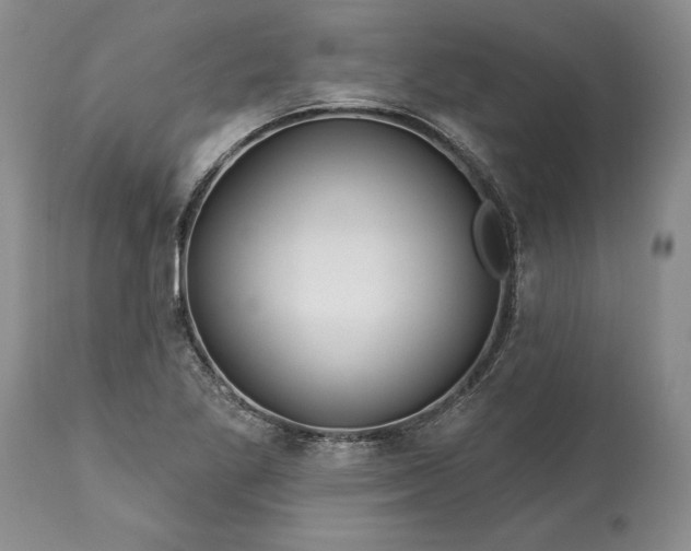 X0000113581269200910021644