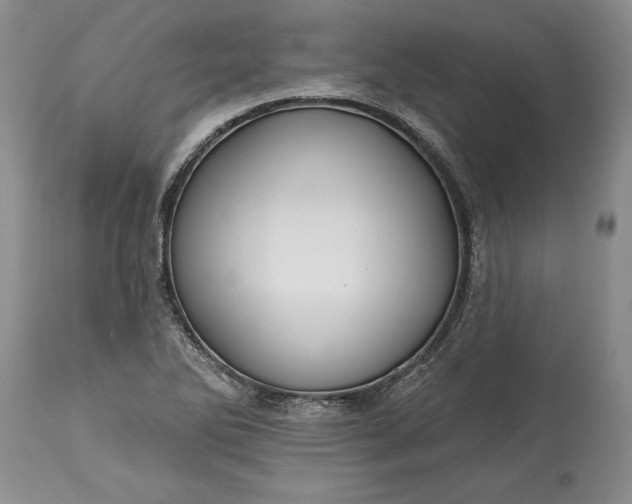 X0000113581270200910021644