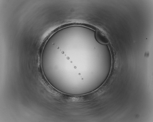 X0000113581271200910021644