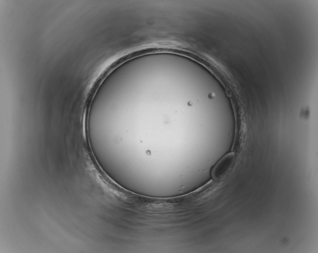 X0000113581272200910021644