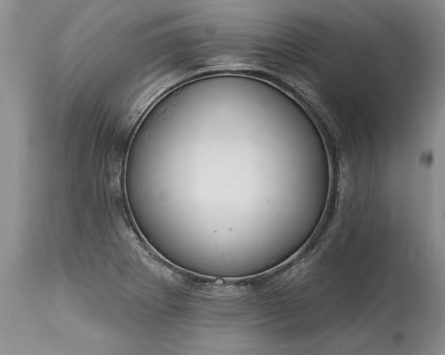 X0000113581273200910021644