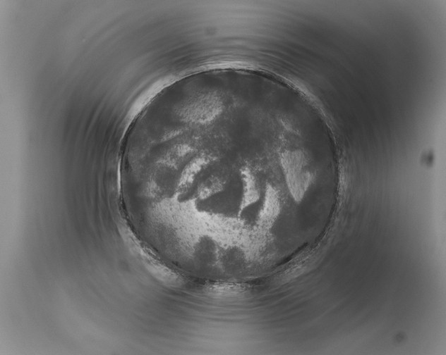 X0000113581274200910021644