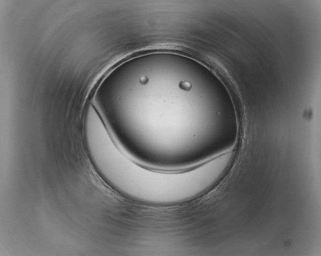 X0000113581276200910021644