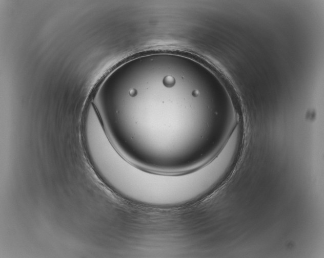 X0000113581277200910021644